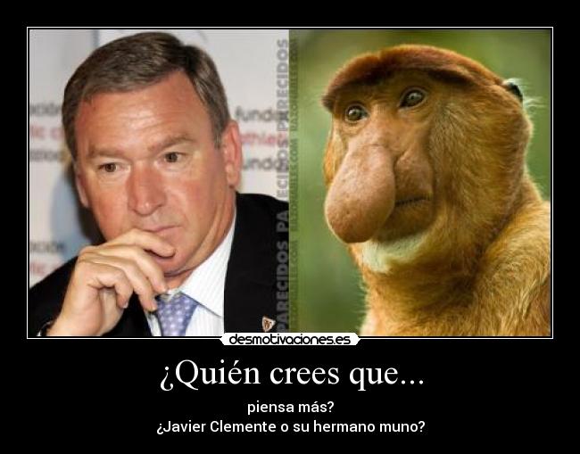 ¿Quién crees que... - piensa más?
¿Javier Clemente o su hermano muno?