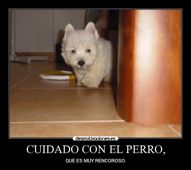 CUIDADO CON EL PERRO, - QUE ES MUY RENCOROSO.