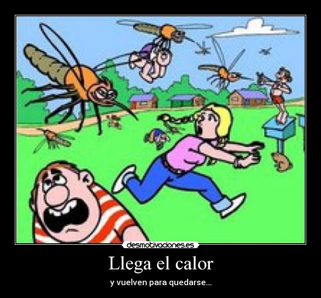 Llega el calor -