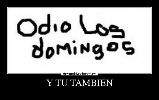 Y TU TAMBIÉN -