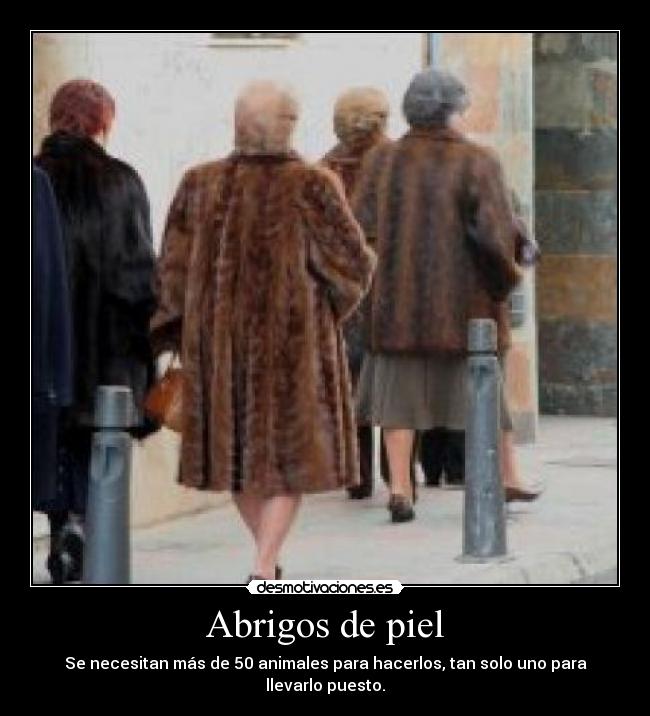 Abrigos de piel - Se necesitan más de 50 animales para hacerlos, tan solo uno para llevarlo puesto.