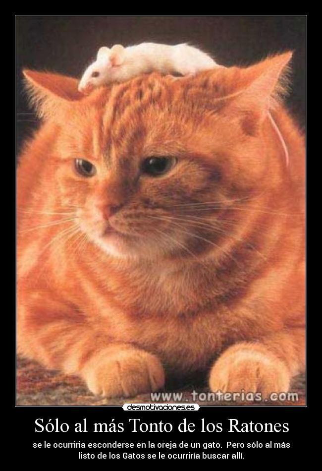 Sólo al más Tonto de los Ratones -