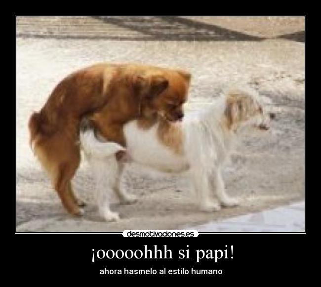 ¡ooooohhh si papi! -
