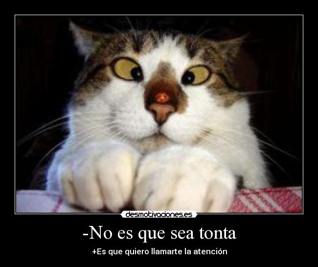 -No es que sea tonta - 