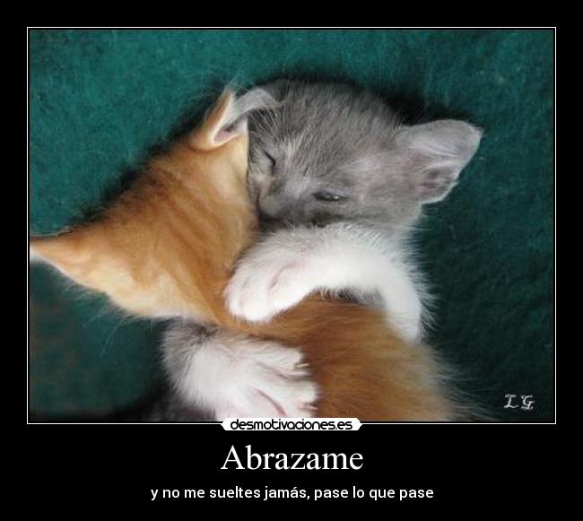 Abrazame - y no me sueltes jamás, pase lo que pase
