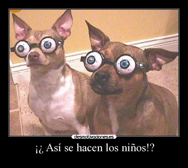 ¡¿ Así se hacen los niños!? -