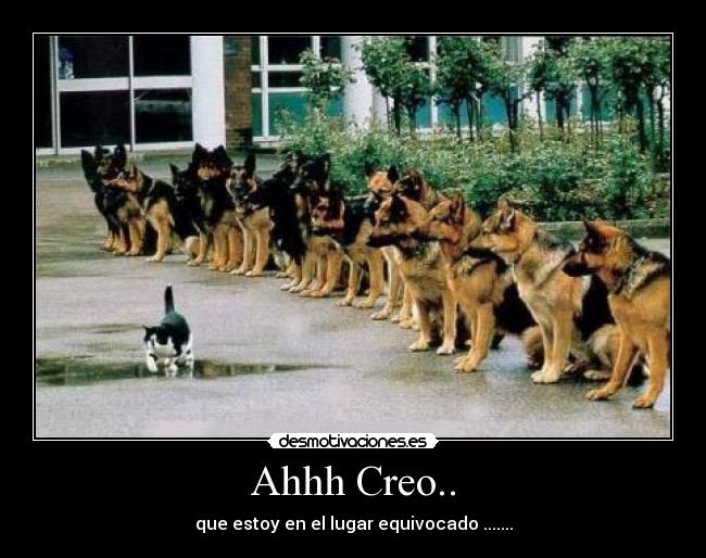 Ahhh Creo.. - que estoy en el lugar equivocado .......