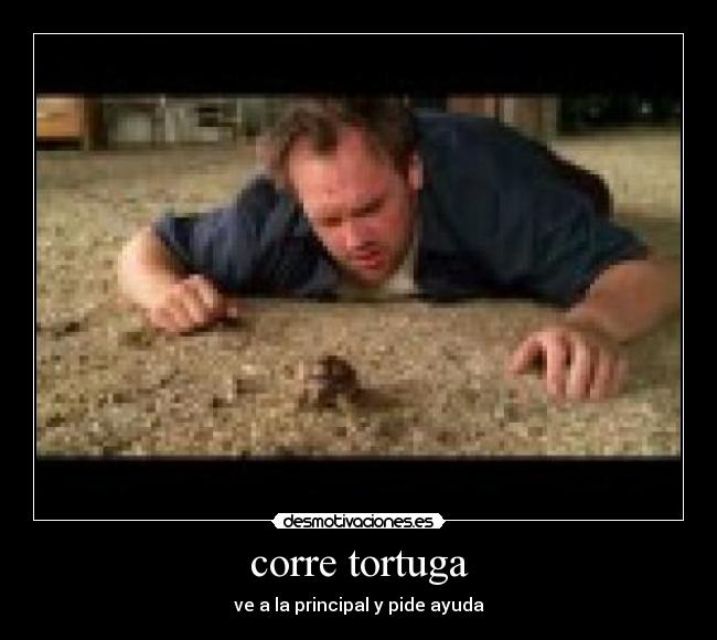 corre tortuga - ve a la principal y pide ayuda