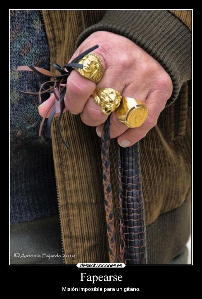 carteles gitano desmotivaciones