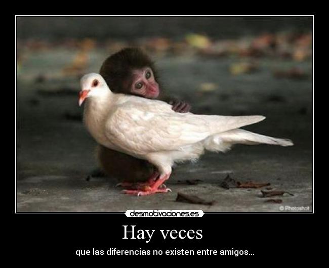 carteles carmen_122 desmotivaciones