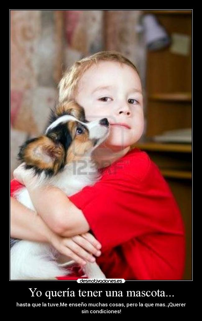 Yo quería tener una mascota... - hasta que la tuve.Me enseño muchas cosas, pero la que mas..¡Querer
sin condiciones!