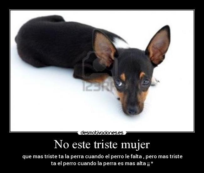 No este triste mujer - que mas triste ta la perra cuando el perro le falta , pero mas triste
ta el perro cuando la perra es mas alta ¡¡ *
