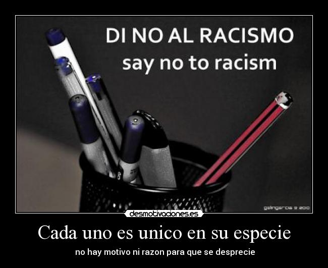 carteles racismo desmotivaciones