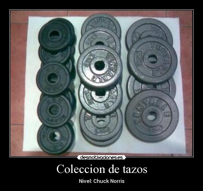 Coleccion de tazos - Nivel: Chuck Norris