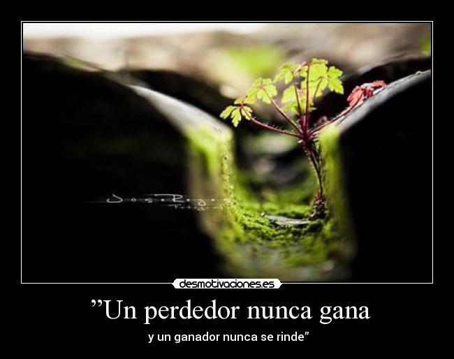  ”Un perdedor nunca gana -  y un ganador nunca se rinde”