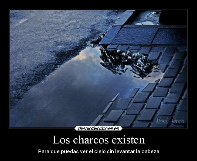 Los charcos existen - Para que puedas ver el cielo sin levantar la cabeza