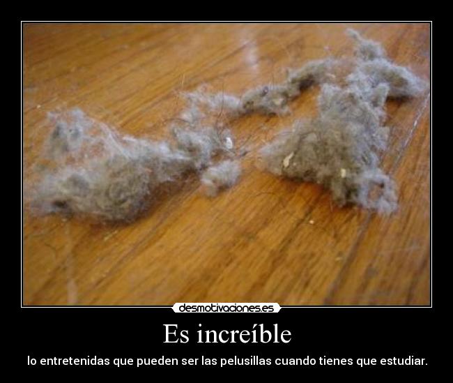 Es increíble - lo entretenidas que pueden ser las pelusillas cuando tienes que estudiar.