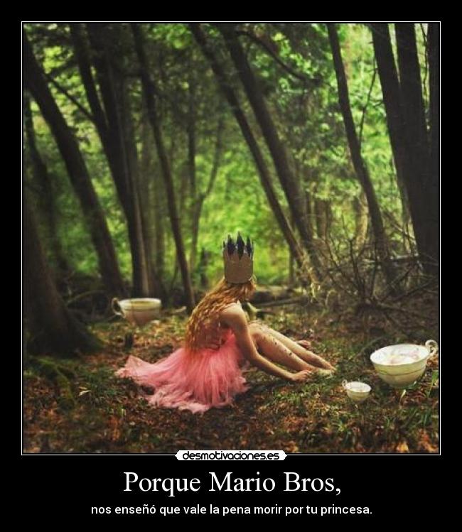 Porque Mario Bros, - 