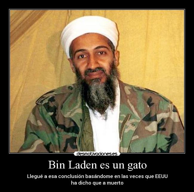 Bin Laden es un gato - Llegué a esa conclusión basándome en las veces que EEUU
ha dicho que a muerto