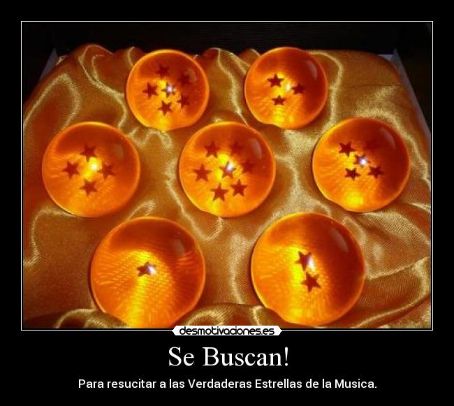 Se Buscan! -