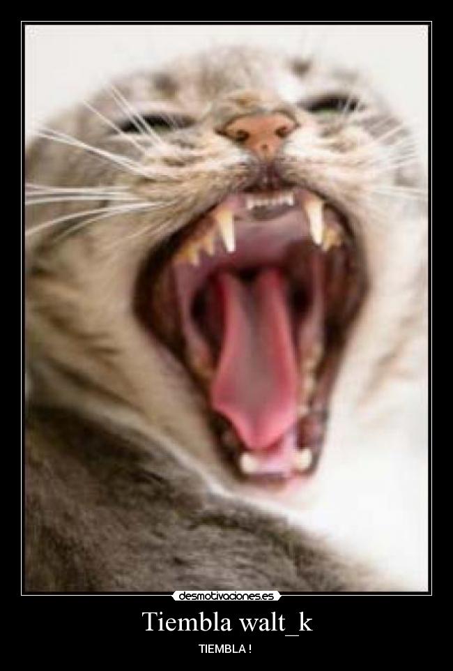 Tiembla walt_k -