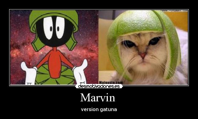 Marvin  - 