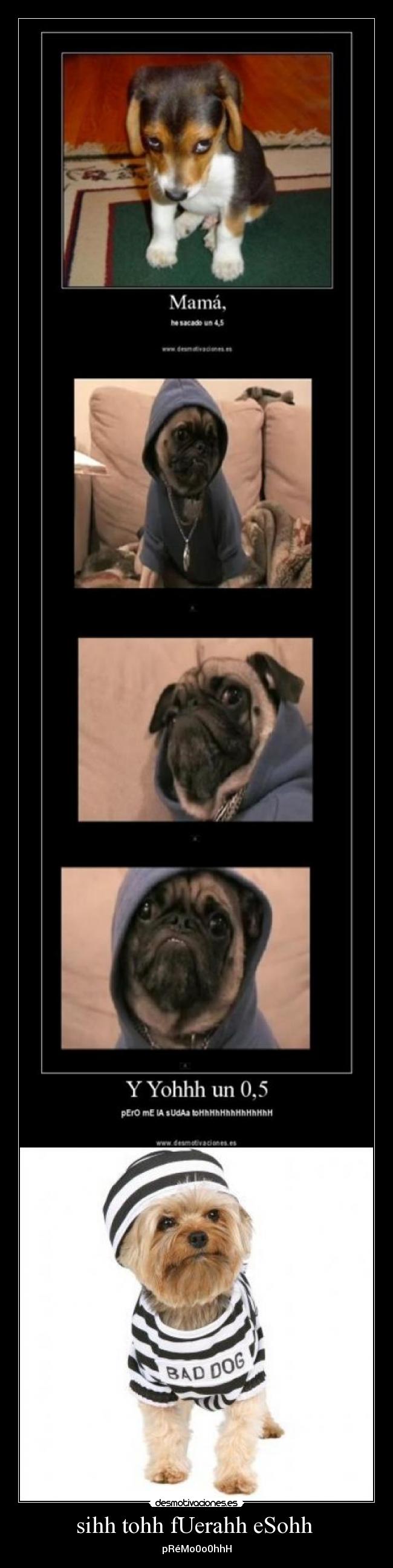 sihh tohh fUerahh eSohh - pRéMo0o0hhH