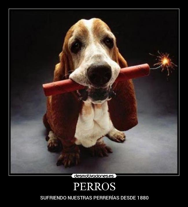 carteles pablito98 desmotivaciones