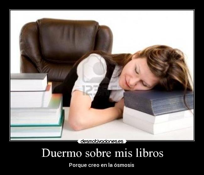 Duermo sobre mis libros -
