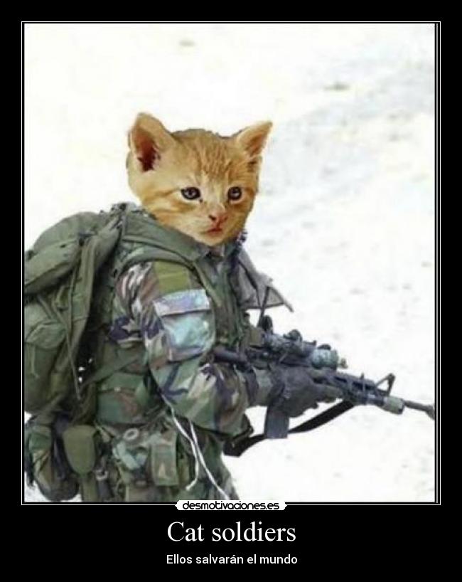 Cat soldiers - Ellos salvarán el mundo