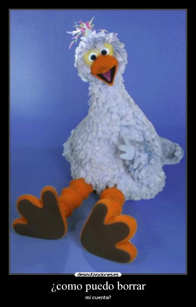 ¿como puedo borrar - mi cuenta?