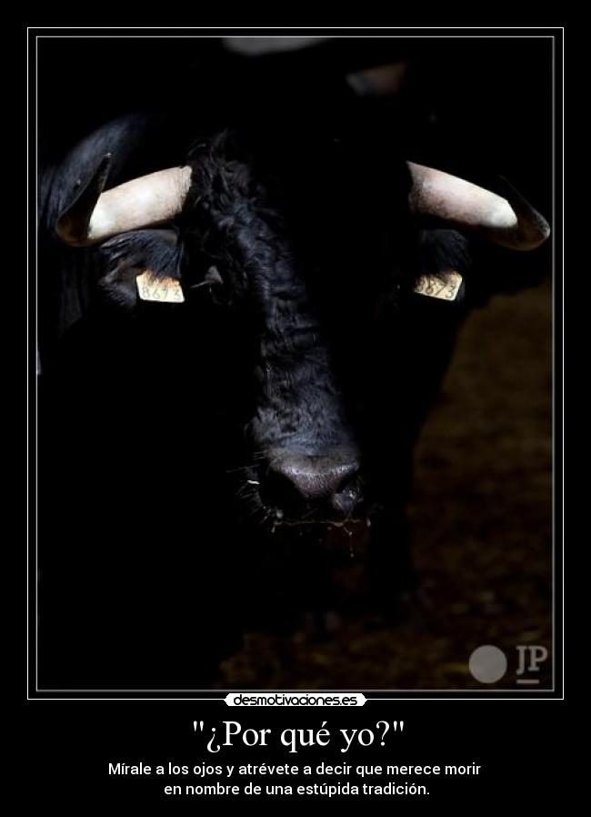 ¿Por qué yo? -