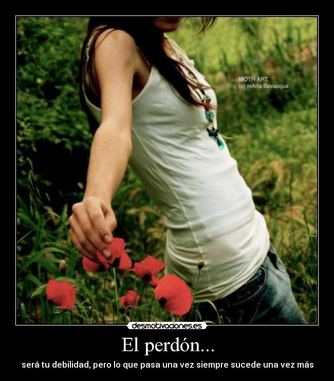 carteles perdon desmotivaciones