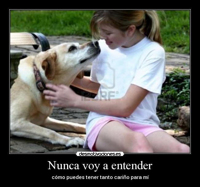 Nunca voy a entender -