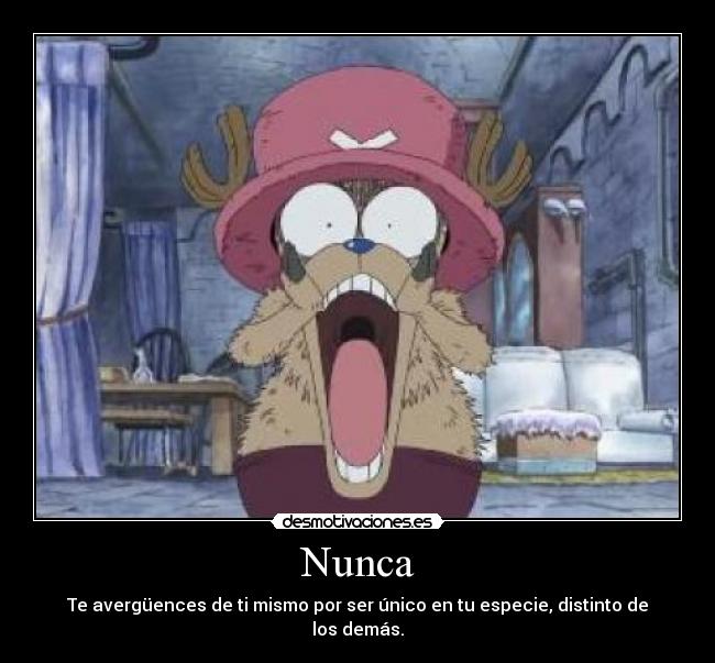 Nunca - Te avergüences de ti mismo por ser único en tu especie, distinto de los demás.