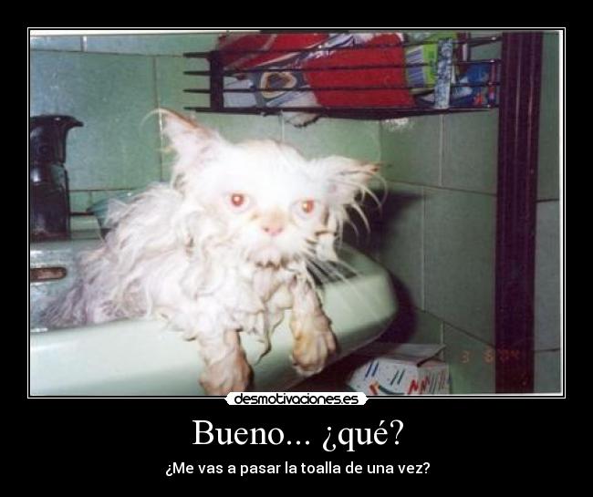 Bueno... ¿qué? - ¿Me vas a pasar la toalla de una vez?