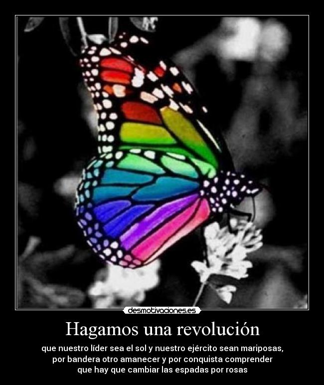 Hagamos una revolución - 