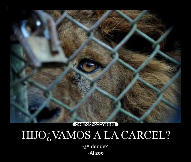HIJO¿VAMOS A LA CARCEL? - -¿A donde?
-Al zoo