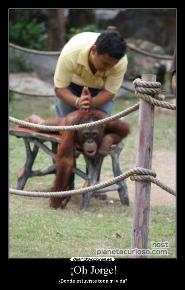 ¡Oh Jorge! -