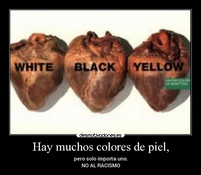 Hay muchos colores de piel, - pero solo importa uno.
NO AL RACISMO