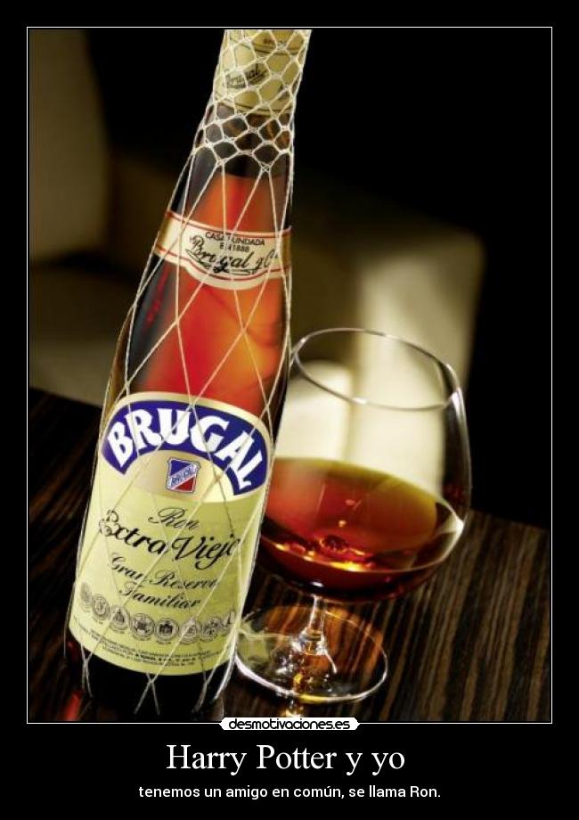 Harry Potter y yo -
