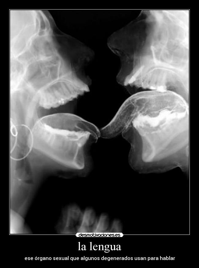 la lengua -