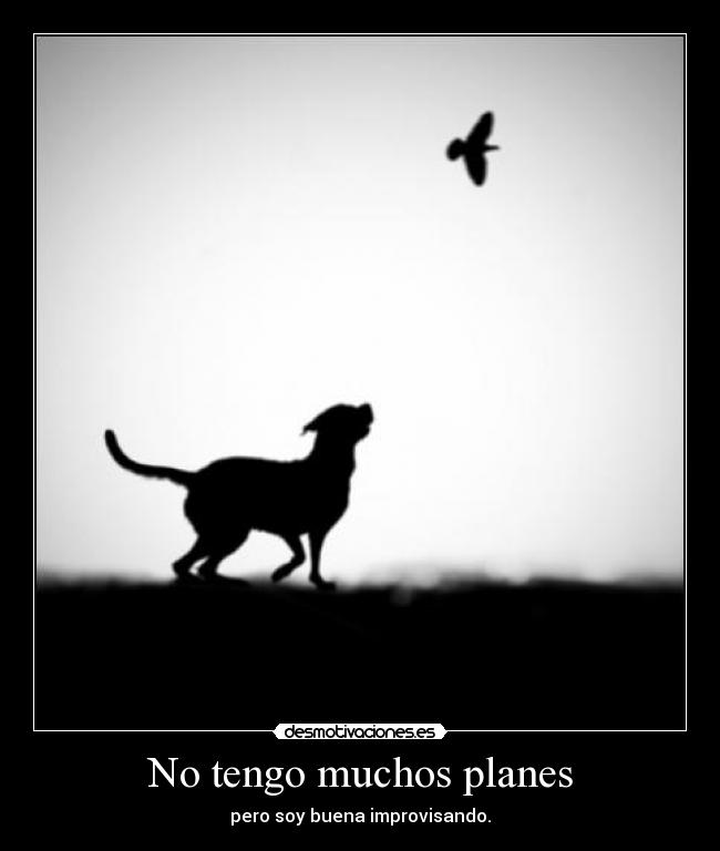 No tengo muchos planes - 