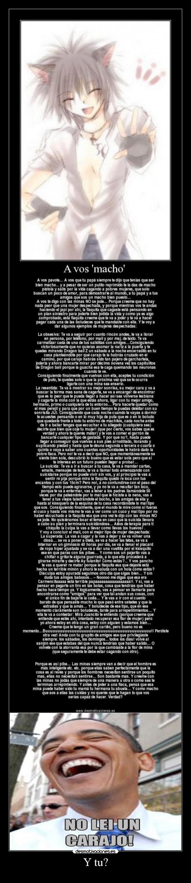 carteles lei carajo desmotivaciones