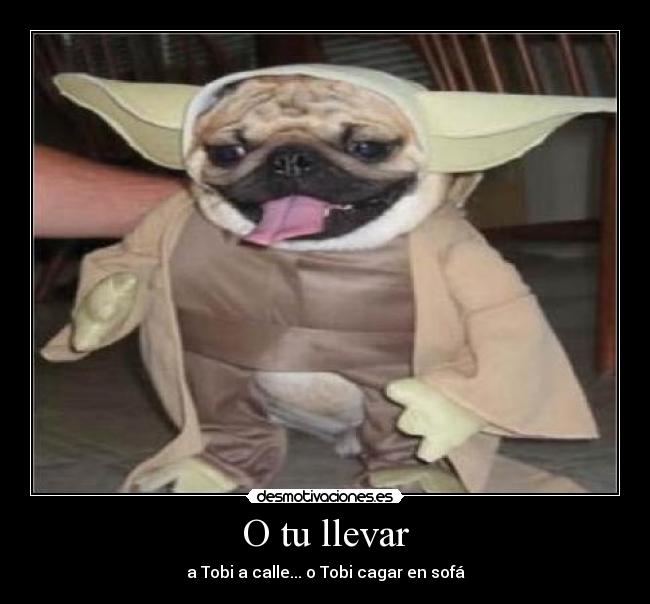 carteles thebestkiller8 desmotivaciones