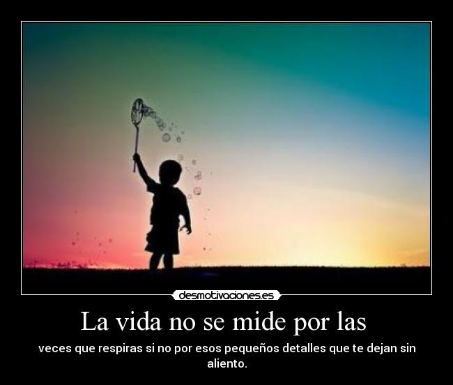 La vida no se mide por las -