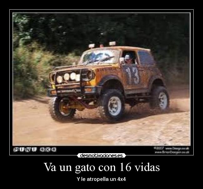 Va un gato con 16 vidas -