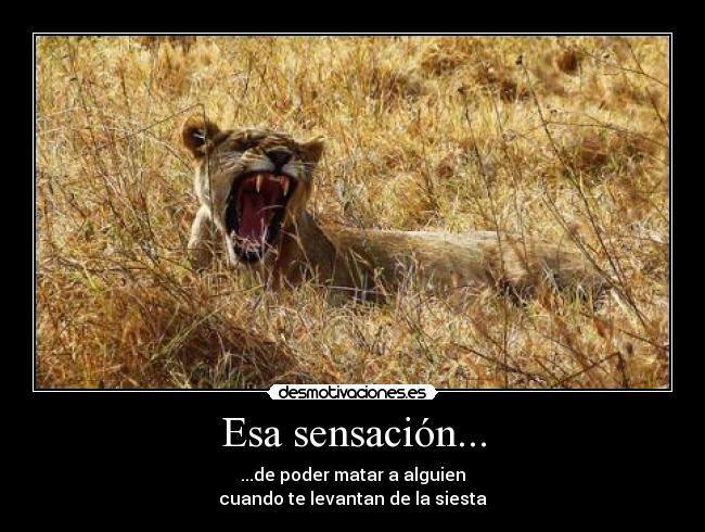 Esa sensación... - ...de poder matar a alguien
cuando te levantan de la siesta