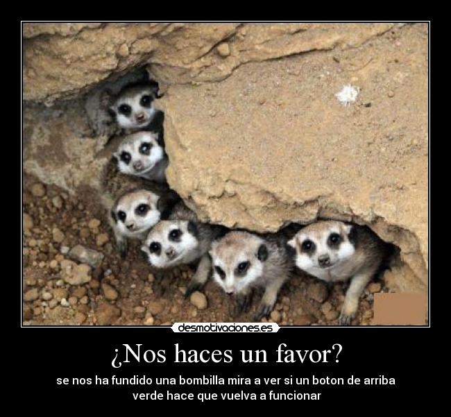 ¿Nos haces un favor? - 