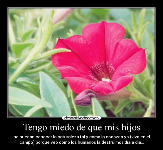 Tengo miedo de que mis hijos -